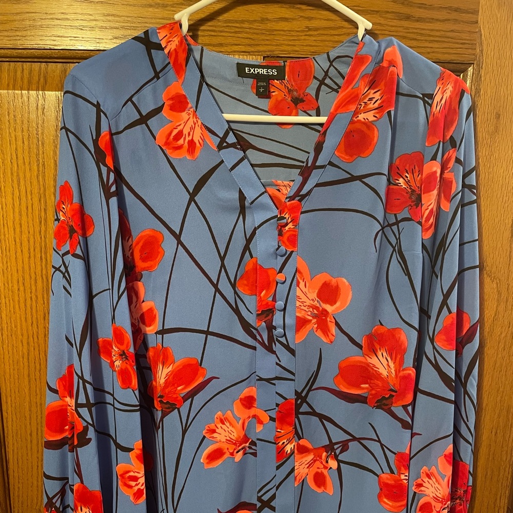 Blue and red floral Express blouse